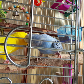 朝のひとときの画像