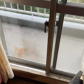 流星よあがれ。の画像