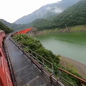 遠くまで届くセミの鳴き声の秘密と好きなドラマの画像