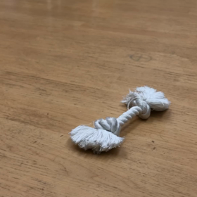 まずはオモチャを認識しなきゃ。の画像