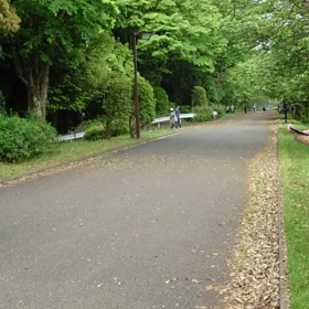 リレー選考会(女子)ゴール付近⑤の画像