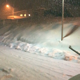 良いお正月だったのにの画像