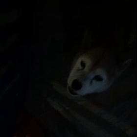 大絶叫、、、の画像