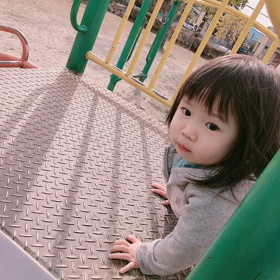 １日預かりの画像