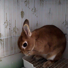 悪い１日だった(T_T)の画像