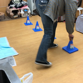 レイチ編。の画像