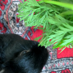 せっかくの休みなのに…☆の画像