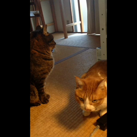 初めての動画編集の画像