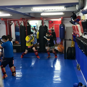 初心者大歓迎✨の画像