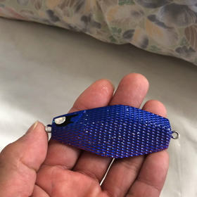 アキアジの画像