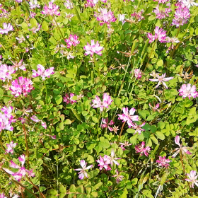 今日の朝の画像