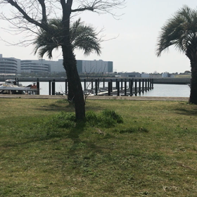 北港で100均のオモチャの画像