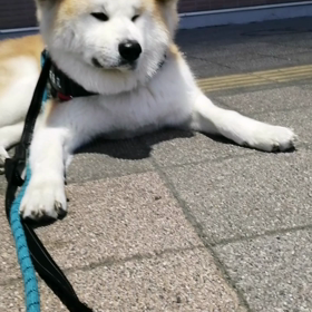 だんだんイヤイヤが増えている。未来丸頑張れよ‼️の画像