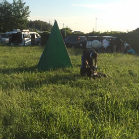 防衛ニュートの画像