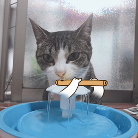 コルバ以外寝とるの画像