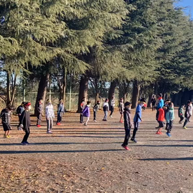 バランス①の画像