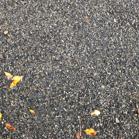 先日の奈良の動画☆①の画像