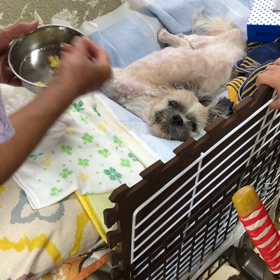 イチローの画像