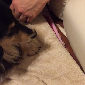 取れそうで取れない…の画像