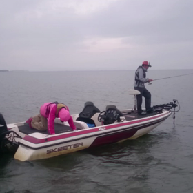 謎の運動(movie)の画像