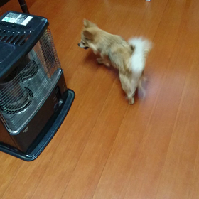 楽しそうの画像