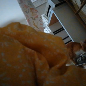 バカ母、感激っ！の画像