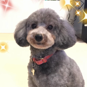 はじめましての画像