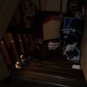 トイプードルのモコの階段上がり〜♪( ´▽｀)の画像