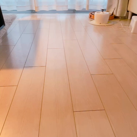 犬のような猫の画像