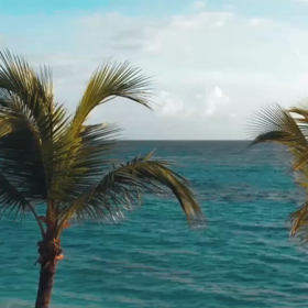 必見❗️の画像