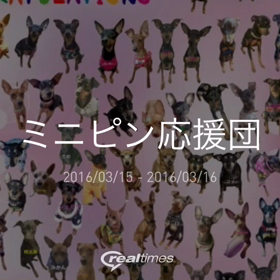 ハッピー ハッピーの花の画像