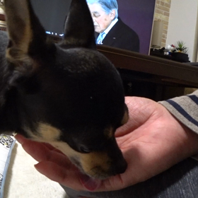 平成最後の日の画像