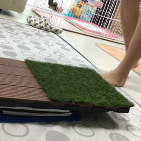 シーソー？自主練の画像