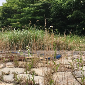 おいこみの画像