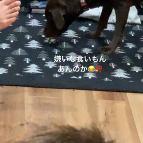 嫌いな食いもんある？の画像