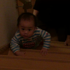 雄斗 階段制覇の画像