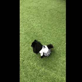 2020年5月2日　ワクチン注射の画像