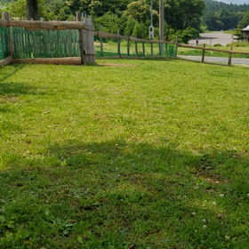 ☆ムービー☆の画像