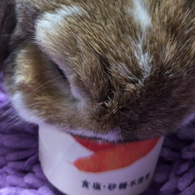 食後のジュースの画像