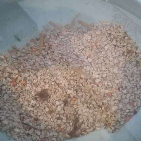 これ、何よ〜の画像