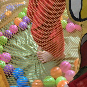 いきもの観察の画像