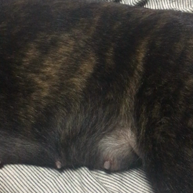 あっ動いた、動いたよねの画像