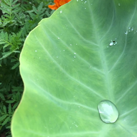 水玉と遊ぶの画像