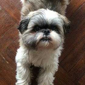 運命から始まる恋　第1話、第2話、第3話の画像