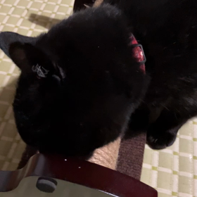 3ヶ月ぶりに下の娘が泊まりに来ましたの画像