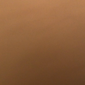 ファイターお凛、再び。の画像