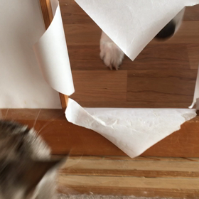 頑張る夜海！の画像