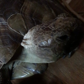 今朝もバタバタの画像