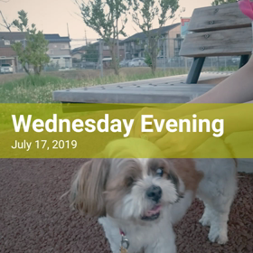 そらと公園に行ったよ(*^O^*)の画像