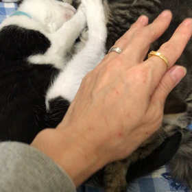 可愛い団子三兄妹☺️の画像